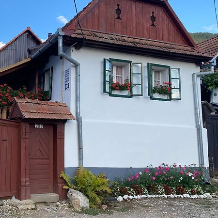 Отель Casa Kelemen Iren Риметя Экстерьер фото