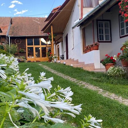 Отель Casa Kelemen Iren Риметя Экстерьер фото