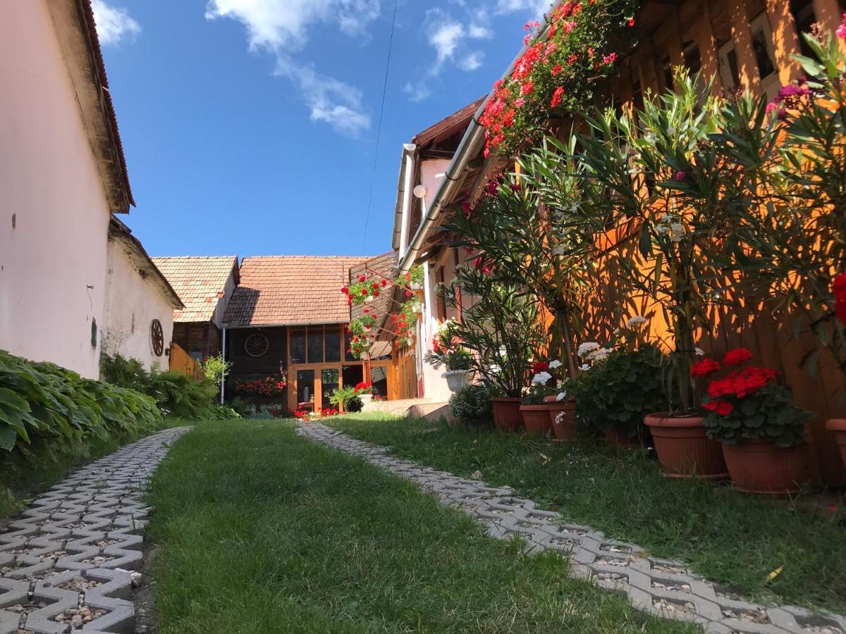 Отель Casa Kelemen Iren Риметя Экстерьер фото
