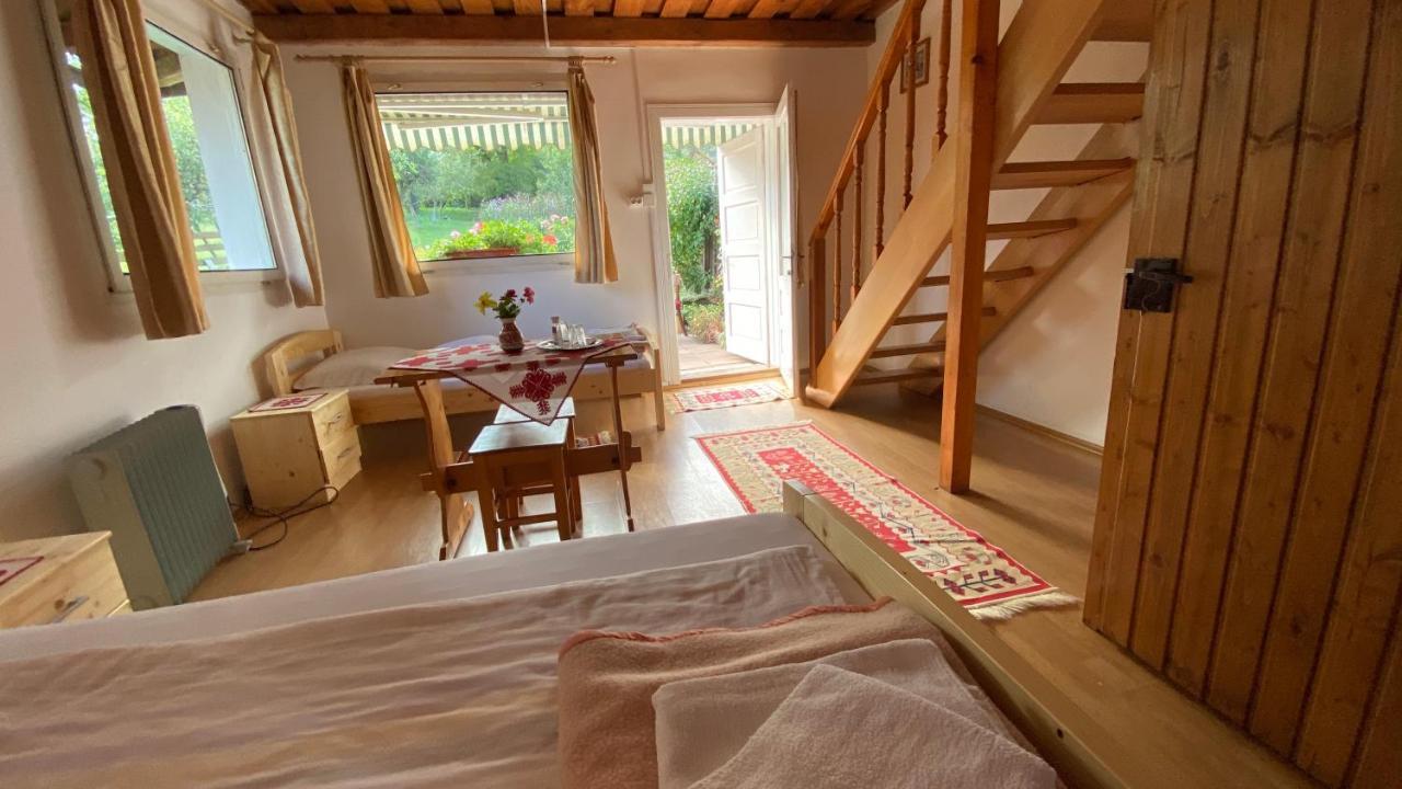 Отель Casa Kelemen Iren Риметя Экстерьер фото