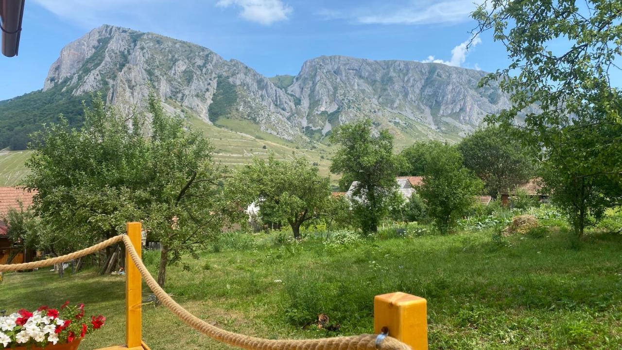 Отель Casa Kelemen Iren Риметя Экстерьер фото