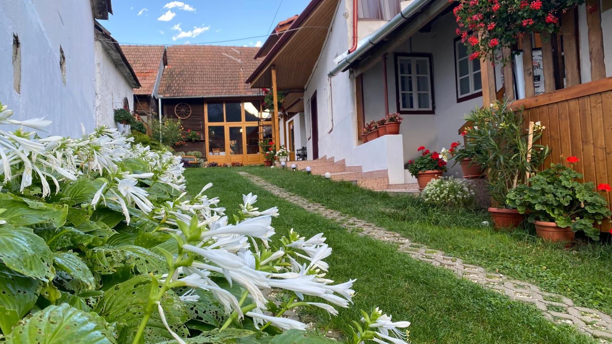 Отель Casa Kelemen Iren Риметя Экстерьер фото